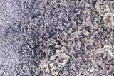 Huge, Sparkly Purple Grape Agate Specimen - Indonesia #370409-1